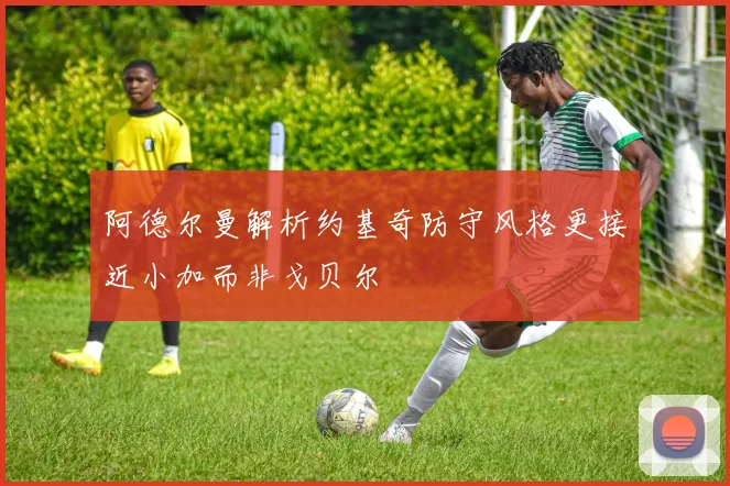 阿德尔曼解析约基奇防守风格更接近小加而非戈贝尔